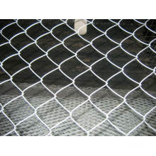 Chain Link Mesh/Diamond Wire Mesh/Chain Link Fence
